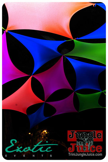 exotic_epiphany_2013_part1-014