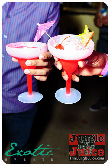 exotic_epiphany_2013_part1-019