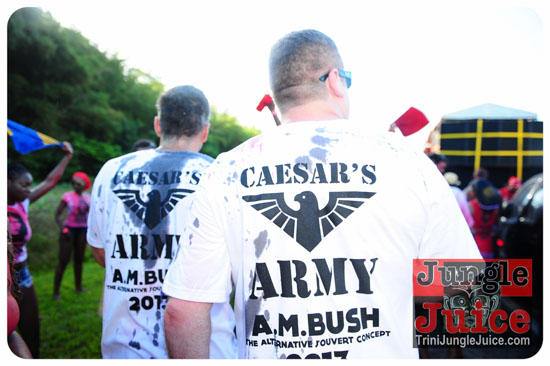 am_bush_2013-134