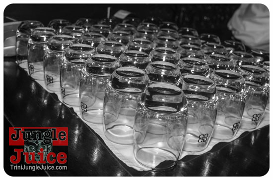 baileys_bottle_launch_nov12-017
