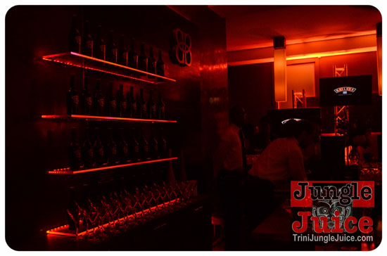 baileys_bottle_launch_nov12-018