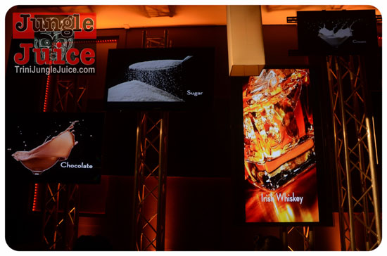 baileys_bottle_launch_nov12-044