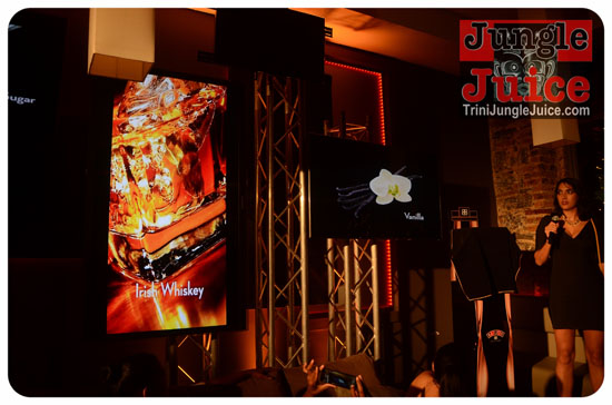 baileys_bottle_launch_nov12-045