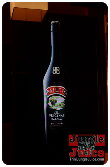 baileys_bottle_launch_nov12-047