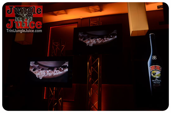 baileys_bottle_launch_nov12-048