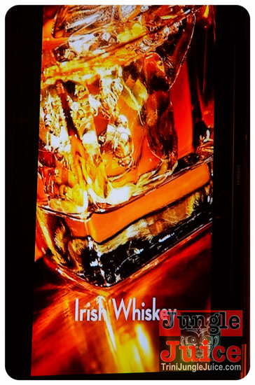 baileys_bottle_launch_nov12-054