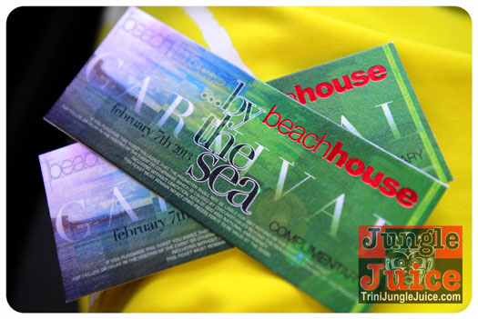 beach_house_carnival_2013_part1-001
