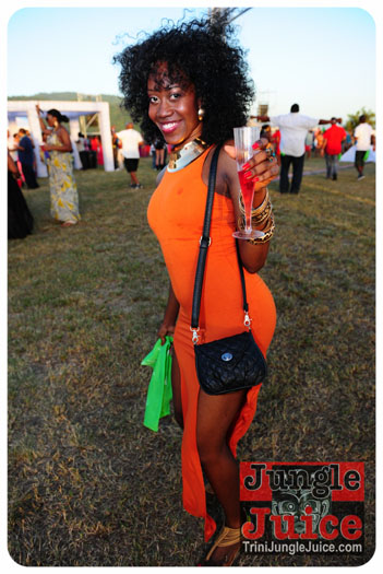 beach_house_carnival_2013_part1-134