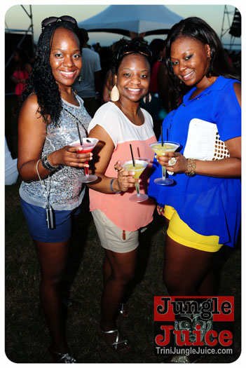 beach_house_carnival_2013_part1-151