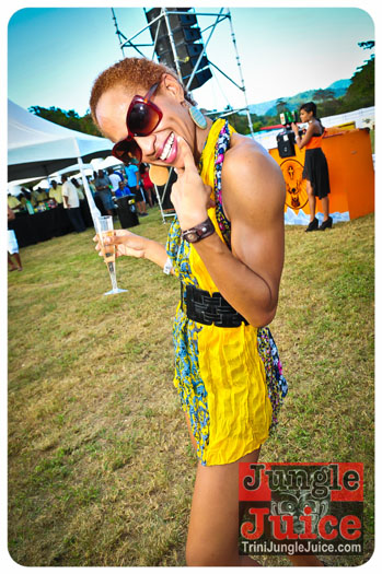 beach_house_carnival_2013_part2-016