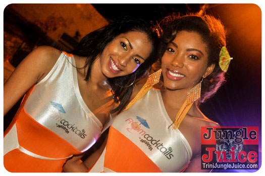 central_bank_all_inclusive_2013-007