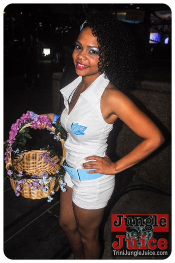 central_bank_all_inclusive_2013-010