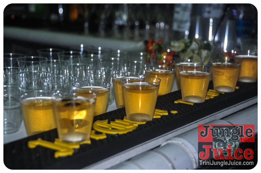 central_bank_all_inclusive_2013-027