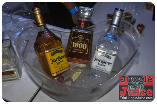 central_bank_all_inclusive_2013-066