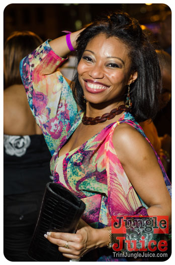 central_bank_all_inclusive_2013-118