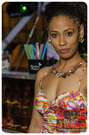 central_bank_all_inclusive_2013-174