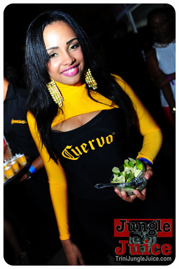 central_bank_all_inclusive_2013-178