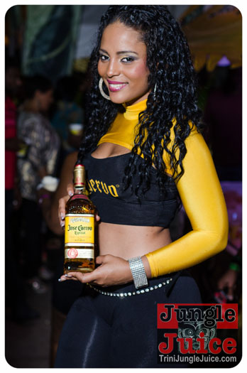 central_bank_all_inclusive_2013-182