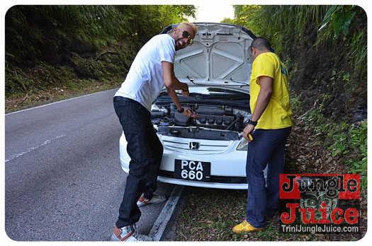 c'est_la_vie_2013-002