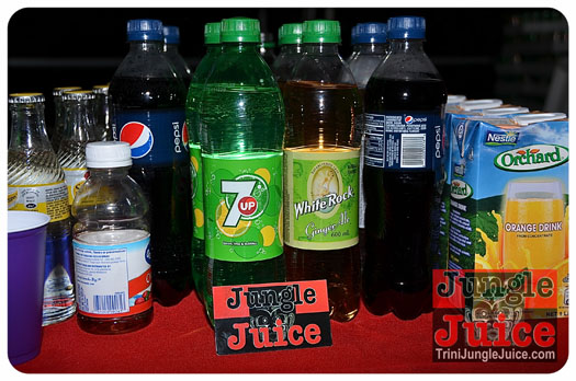 c'est_la_vie_2013-038