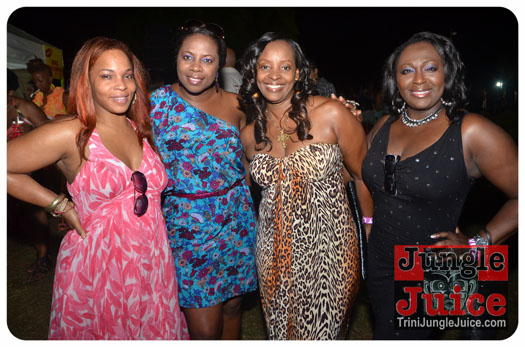 c'est_la_vie_2013-065