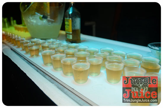 fantasy_2014_band_launch_pt2-010