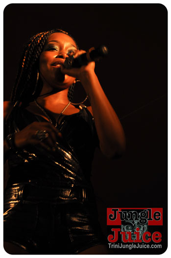 feting_tigers_2013-005