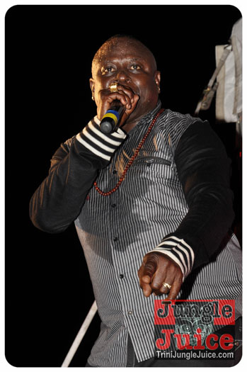 feting_tigers_2013-006