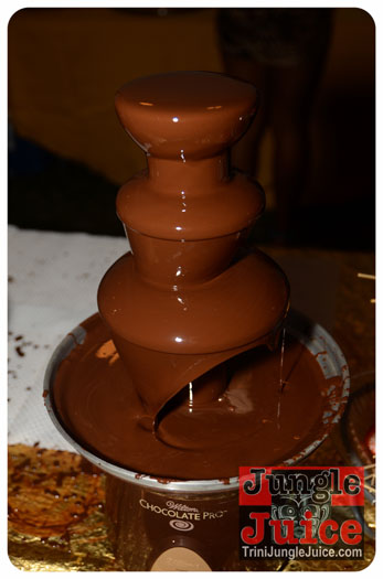 feting_tigers_2013-017