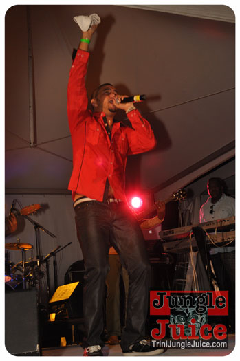 feting_tigers_2013-019