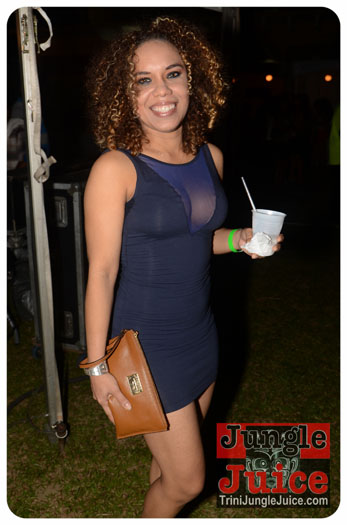 feting_tigers_2013-065