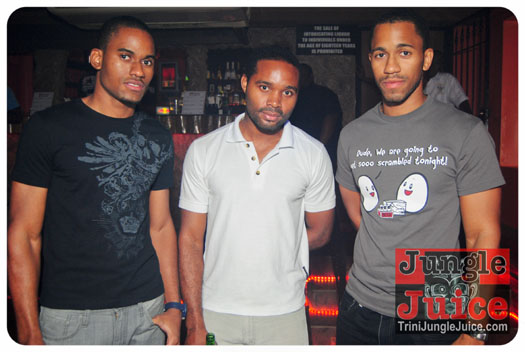 gemini_affair_2013-004