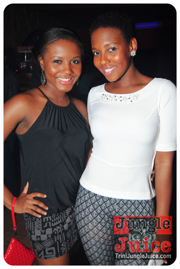 gemini_affair_2013-020