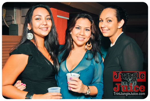 gemini_affair_2013-029