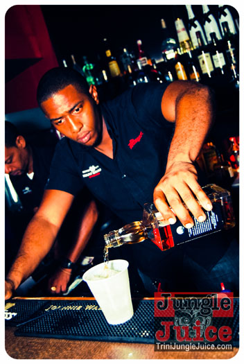 gemini_affair_2013-038