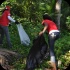 international_coastal_clean_up_sep21-046