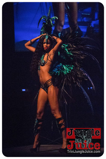 island_people_2014_band_launch-031