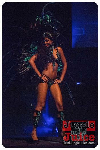 island_people_2014_band_launch-032