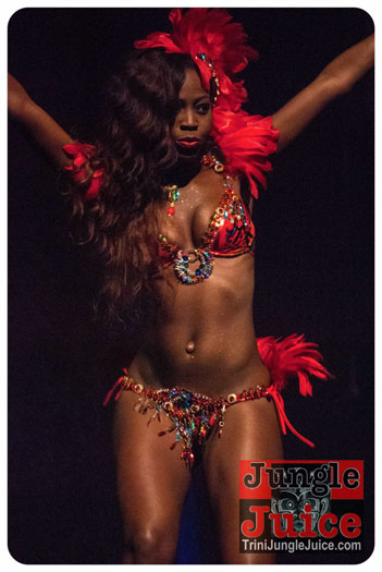 island_people_2014_band_launch-042