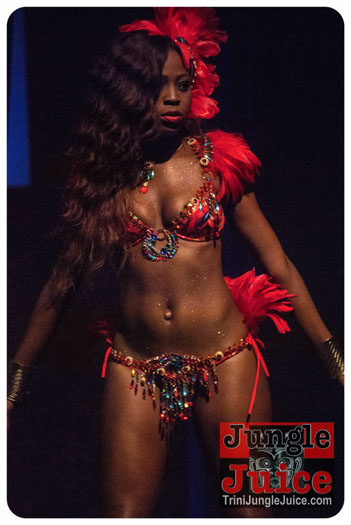 island_people_2014_band_launch-043