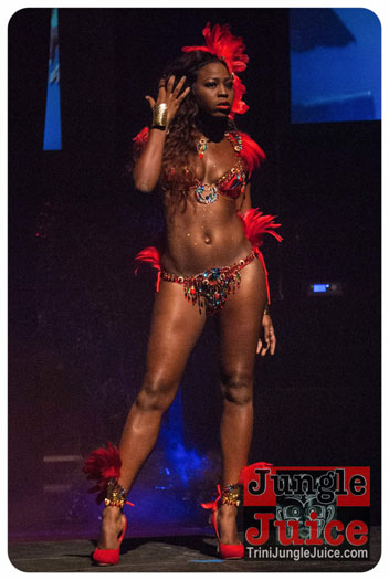 island_people_2014_band_launch-044