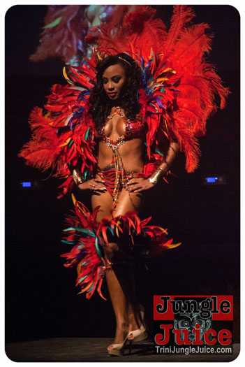 island_people_2014_band_launch-047