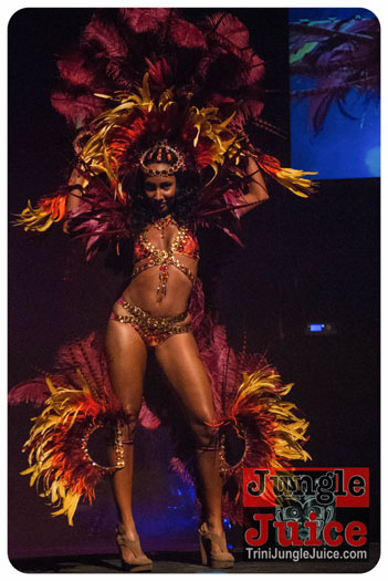 island_people_2014_band_launch-053