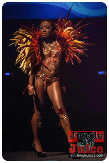 island_people_2014_band_launch-055