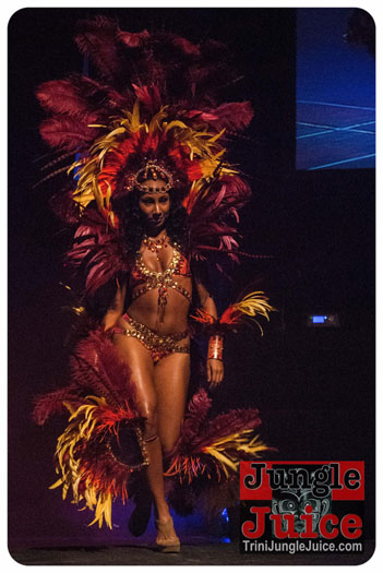 island_people_2014_band_launch-059