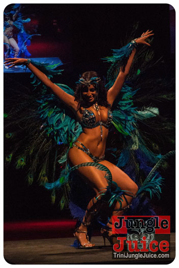 island_people_2014_band_launch-075