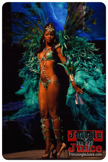 island_people_2014_band_launch-084