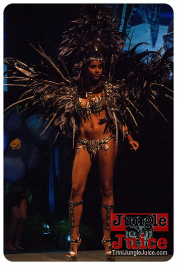 island_people_2014_band_launch-098