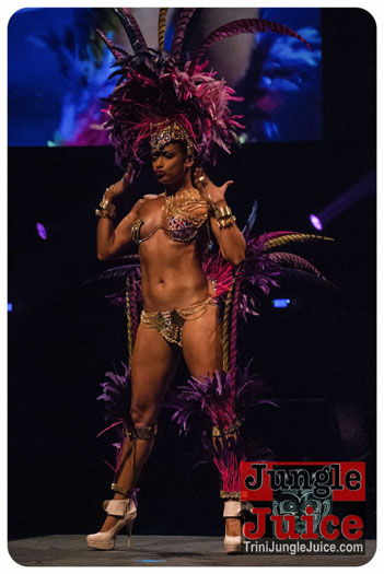 island_people_2014_band_launch-118