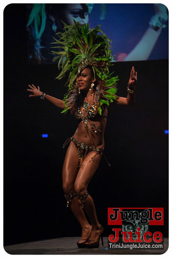 island_people_2014_band_launch-122